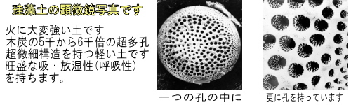 珪藻土顕微鏡写真